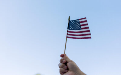 Vote Politic for Results Dedicate Proven Leadership Accountability